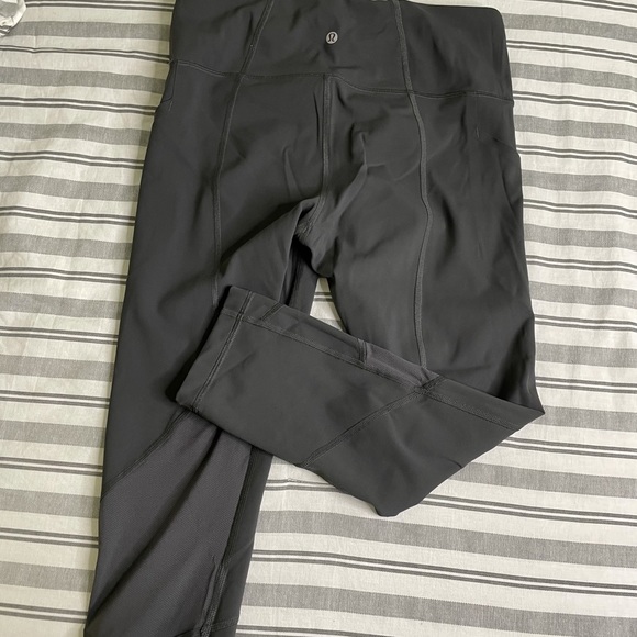 Pace rival crop - Picture 2 of 3